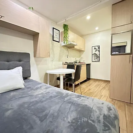 Comfy Loft In Condesa Apartment